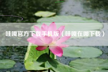 哇嘎官方下载手机版（哇嘎在哪下载）