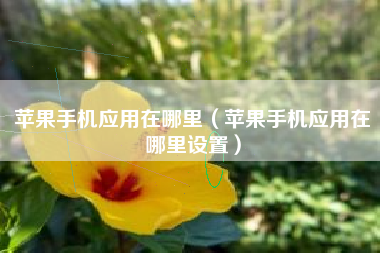 苹果手机应用在哪里（苹果手机应用在哪里设置）