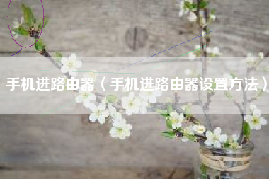 手机进路由器（手机进路由器设置方法）