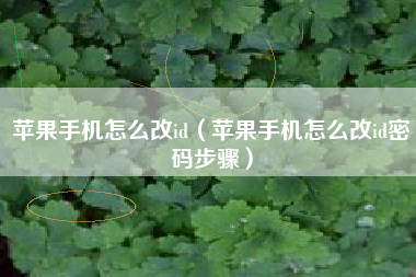 苹果手机怎么改id（苹果手机怎么改id密码步骤）