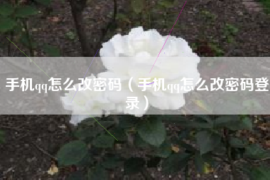 手机qq怎么改密码（手机qq怎么改密码登录）