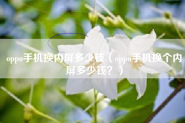 oppo手机换内屏多少钱（oppo手机换个内屏多少钱？）