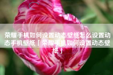 荣耀手机如何设置动态壁纸怎么设置动态手机壁纸「荣耀手机如何设置动态壁纸」