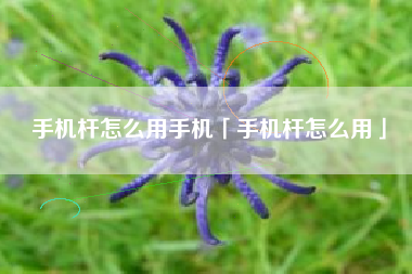 手机杆怎么用手机「手机杆怎么用」