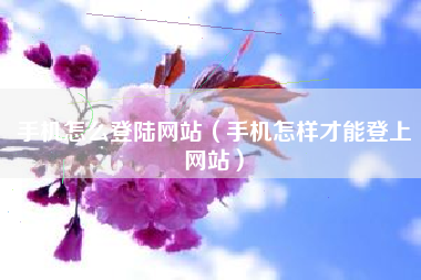 手机怎么登陆网站（手机怎样才能登上网站）