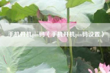手机开机pin码（手机开机pin码设置）