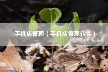 手机店管理（手机店管理软件）