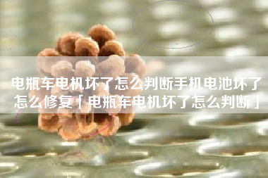 电瓶车电机坏了怎么判断手机电池坏了怎么修复「电瓶车电机坏了怎么判断」