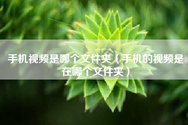 手机视频是哪个文件夹（手机的视频是在哪个文件夹）