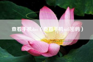查看手机dns（查看手机wifi密码）