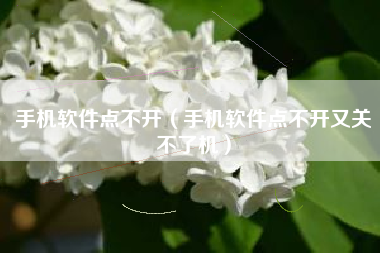 手机软件点不开（手机软件点不开又关不了机）