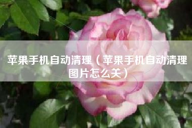 苹果手机自动清理（苹果手机自动清理图片怎么关）