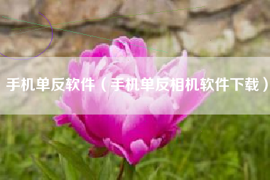 手机单反软件（手机单反相机软件下载）
