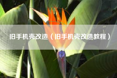 旧手机壳改造（旧手机壳改造教程）