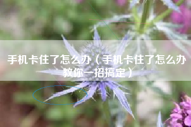手机卡住了怎么办（手机卡住了怎么办教你一招搞定）