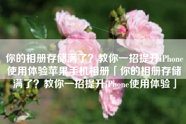你的相册存储满了？教你一招提升iPhone使用体验苹果手机相册「你的相册存储满了？教你一招提升iPhone使用体验」