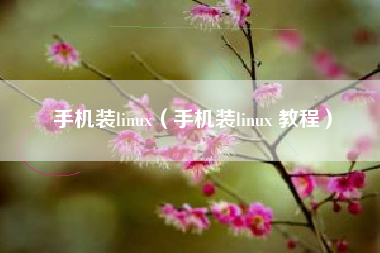 手机装linux（手机装linux 教程）