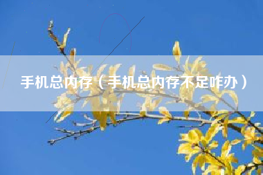 手机总内存（手机总内存不足咋办）