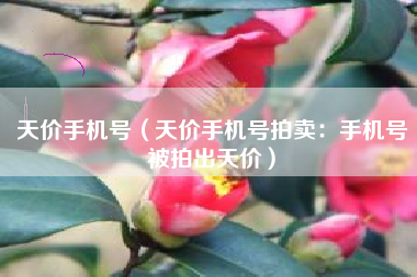 天价手机号（天价手机号拍卖：手机号被拍出天价）