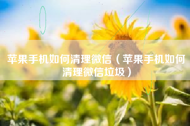 苹果手机如何清理微信（苹果手机如何清理微信垃圾）