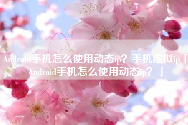 Android手机怎么使用动态ip?手机虚拟ip「Android手机怎么使用动态ip?」 Android手机怎么使用动态ip?手机虚拟ip「Android手机怎么使用动态ip?」