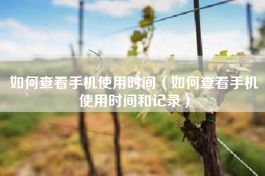 如何查看手机使用时间（如何查看手机使用时间和记录）