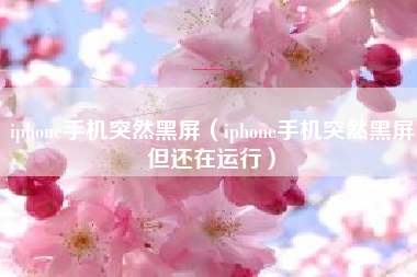 iphone手机突然黑屏（iphone手机突然黑屏但还在运行）