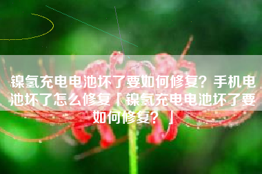 镍氢充电电池坏了要如何修复？手机电池坏了怎么修复「镍氢充电电池坏了要如何修复？」
