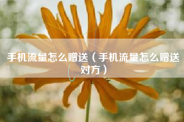 手机流量怎么赠送（手机流量怎么赠送对方）