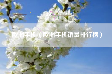 欧洲手机（欧洲手机销量排行榜）