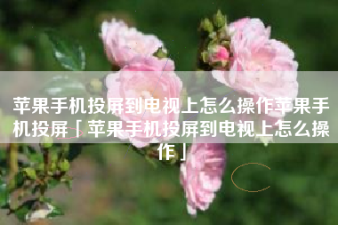 苹果手机投屏到电视上怎么操作苹果手机投屏「苹果手机投屏到电视上怎么操作」