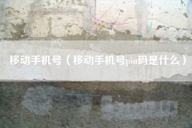 移动手机号（移动手机号pin码是什么）