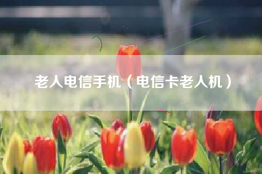 老人电信手机（电信卡老人机）