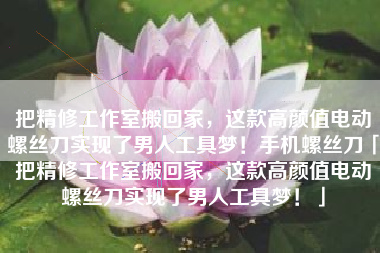 把精修工作室搬回家，这款高颜值电动螺丝刀实现了男人工具梦！手机螺丝刀「把精修工作室搬回家，这款高颜值电动螺丝刀实现了男人工具梦！」
