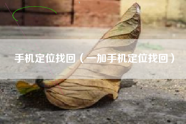 手机定位找回（一加手机定位找回）