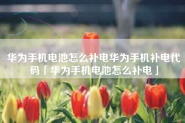 华为手机电池怎么补电华为手机补电代码「华为手机电池怎么补电」