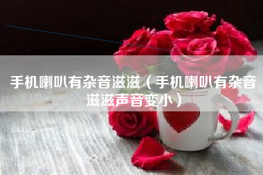 手机喇叭有杂音滋滋（手机喇叭有杂音滋滋声音变小）