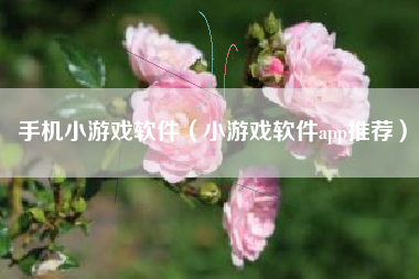手机小游戏软件（小游戏软件app推荐）