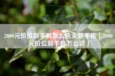 2000元价位新手机怎么选全新手机「2000元价位新手机怎么选」