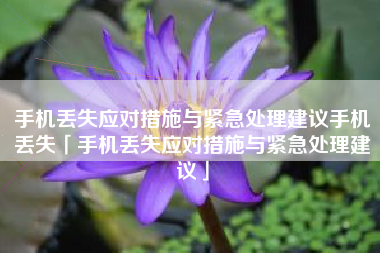 手机丢失应对措施与紧急处理建议手机丢失「手机丢失应对措施与紧急处理建议」