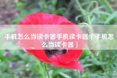 手机怎么当读卡器手机读卡器「手机怎么当读卡器」