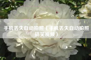手机丢失自动拍照（手机丢失自动拍照搞笑视频）