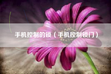 手机控制的锁（手机控制锁门）