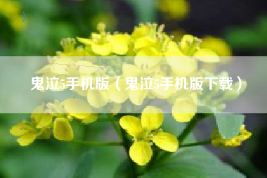 鬼泣5手机版（鬼泣5手机版下载）