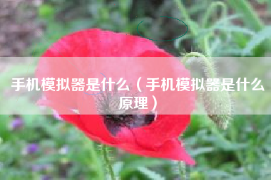 手机模拟器是什么（手机模拟器是什么原理）