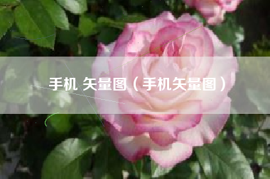 手机 矢量图（手机矢量图）
