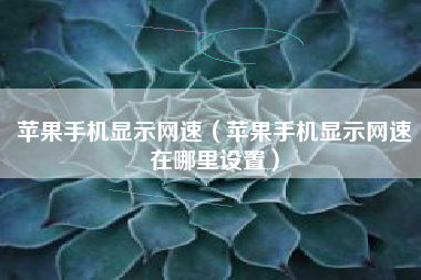苹果手机显示网速（苹果手机显示网速在哪里设置）