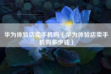 华为体验店卖手机吗（华为体验店卖手机吗多少钱）