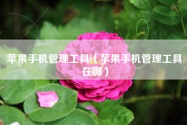 苹果手机管理工具（苹果手机管理工具在哪）