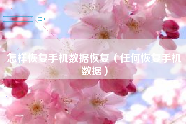 怎样恢复手机数据恢复（任何恢复手机数据）